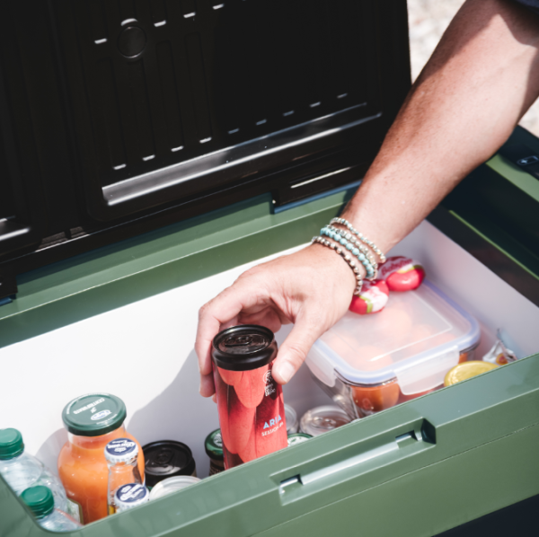 Автохолодтльник компрессорный Indel B Travel Box ITB42 12/24В